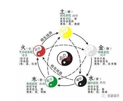 五行缺什麼補什麼|我的八字五行缺甚麼？破解提運法門一文睇清【八字2021】